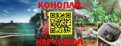 прущие крисы Среднеуральск