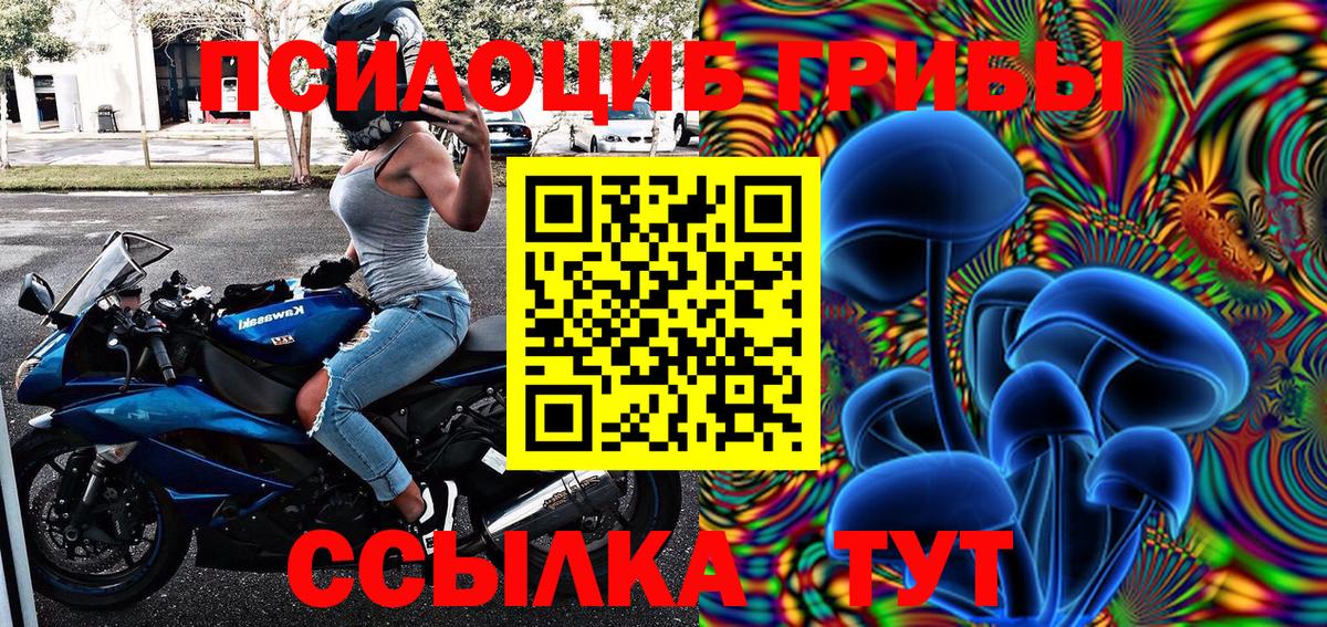 Галлюциногенные грибы Cubensis Новочеркасск