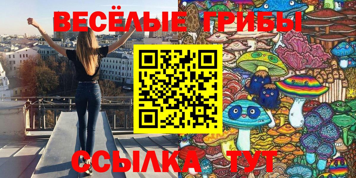 Псилоцибиновые грибы Cubensis  Вход с VPN  Псилоцибиновые грибы Magic Shrooms  Новочеркасск 